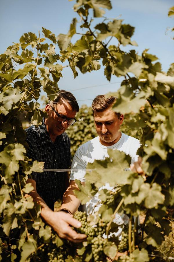 Kultur Weingut Kaestenburg Ratsch an der Weinstraße Dış mekan fotoğraf