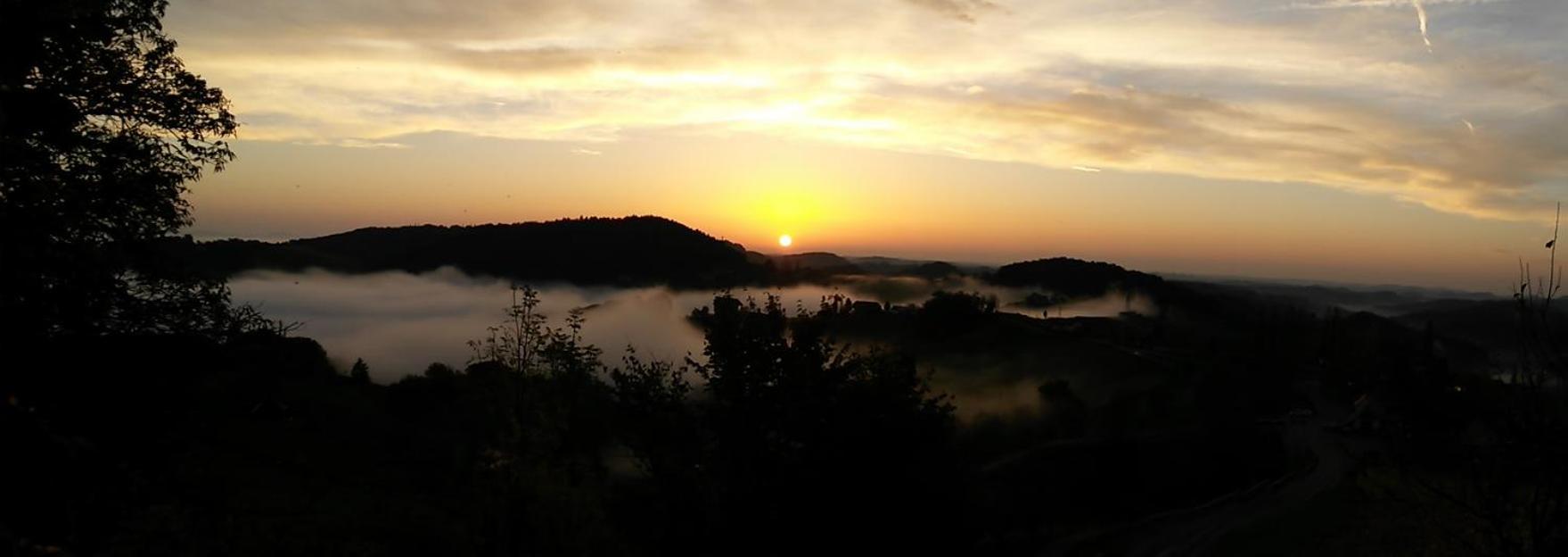 Kultur Weingut Kaestenburg Ratsch an der Weinstraße Dış mekan fotoğraf